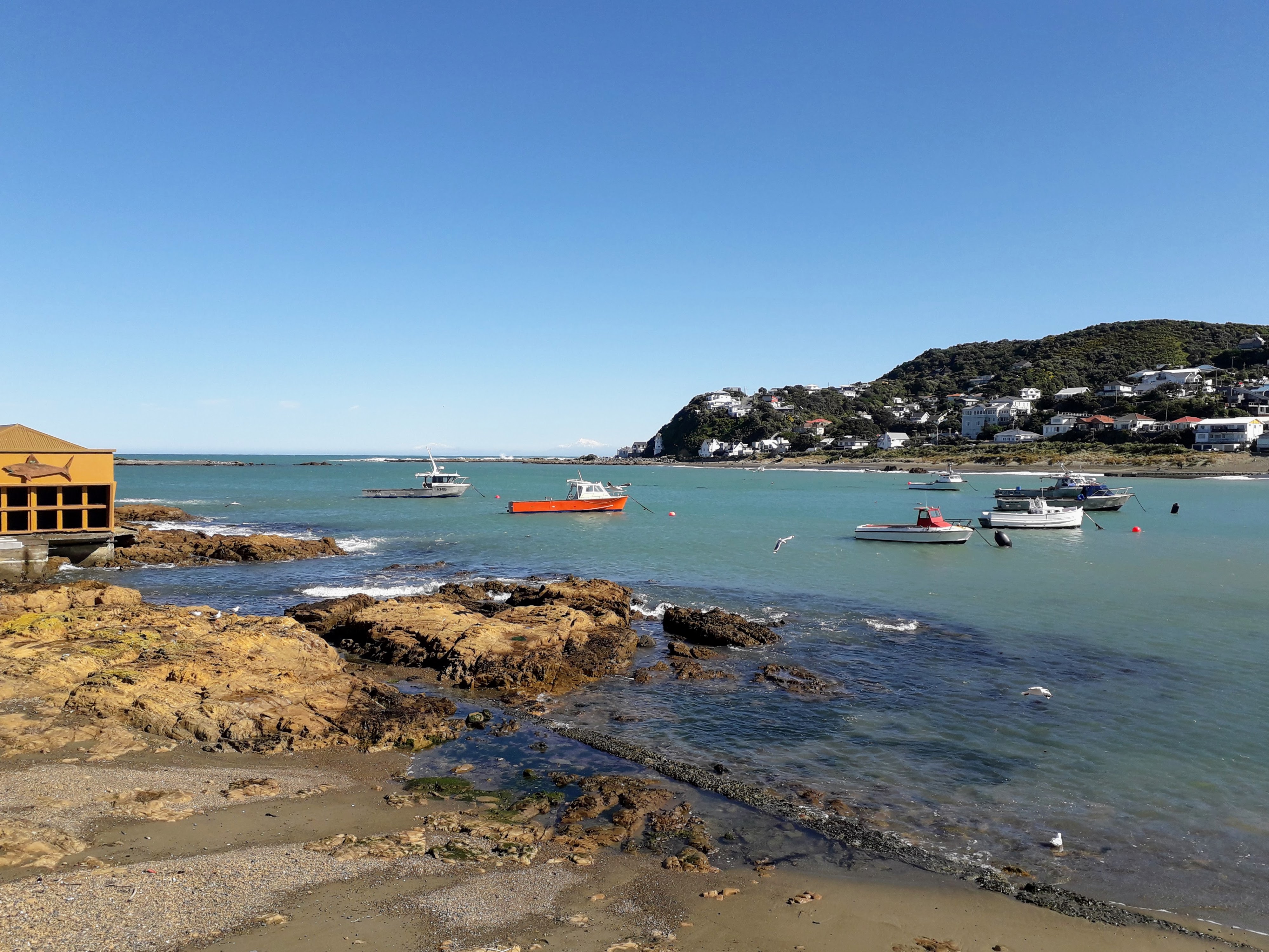 Fishing boats by Stephen Day