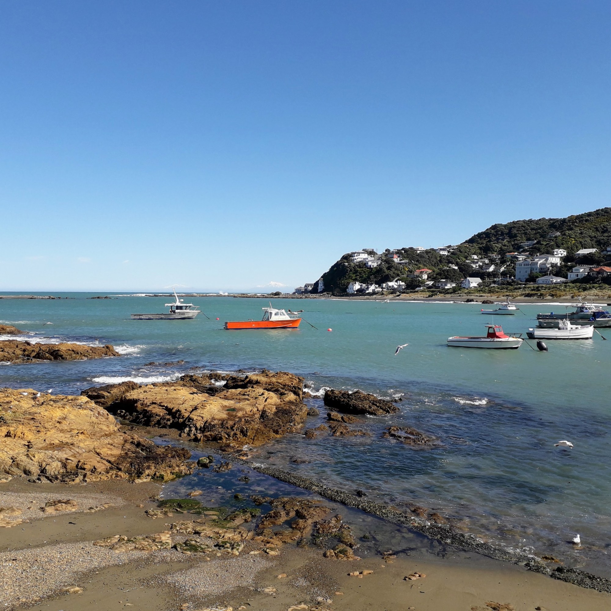 Fishing boats by Stephen Day