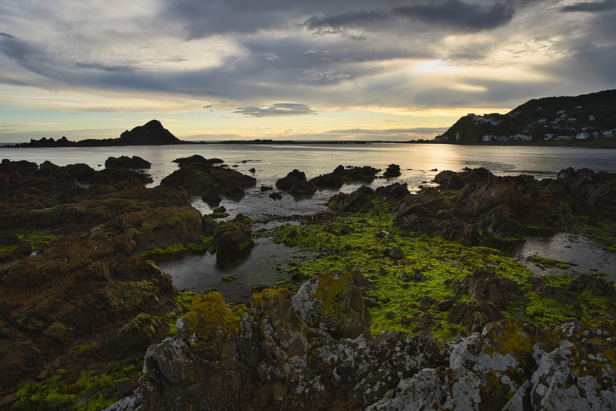 Island Bay coastal rocks by KCphotoscape https://www.flickr.com/photos/kcphotoscape/31862227237/