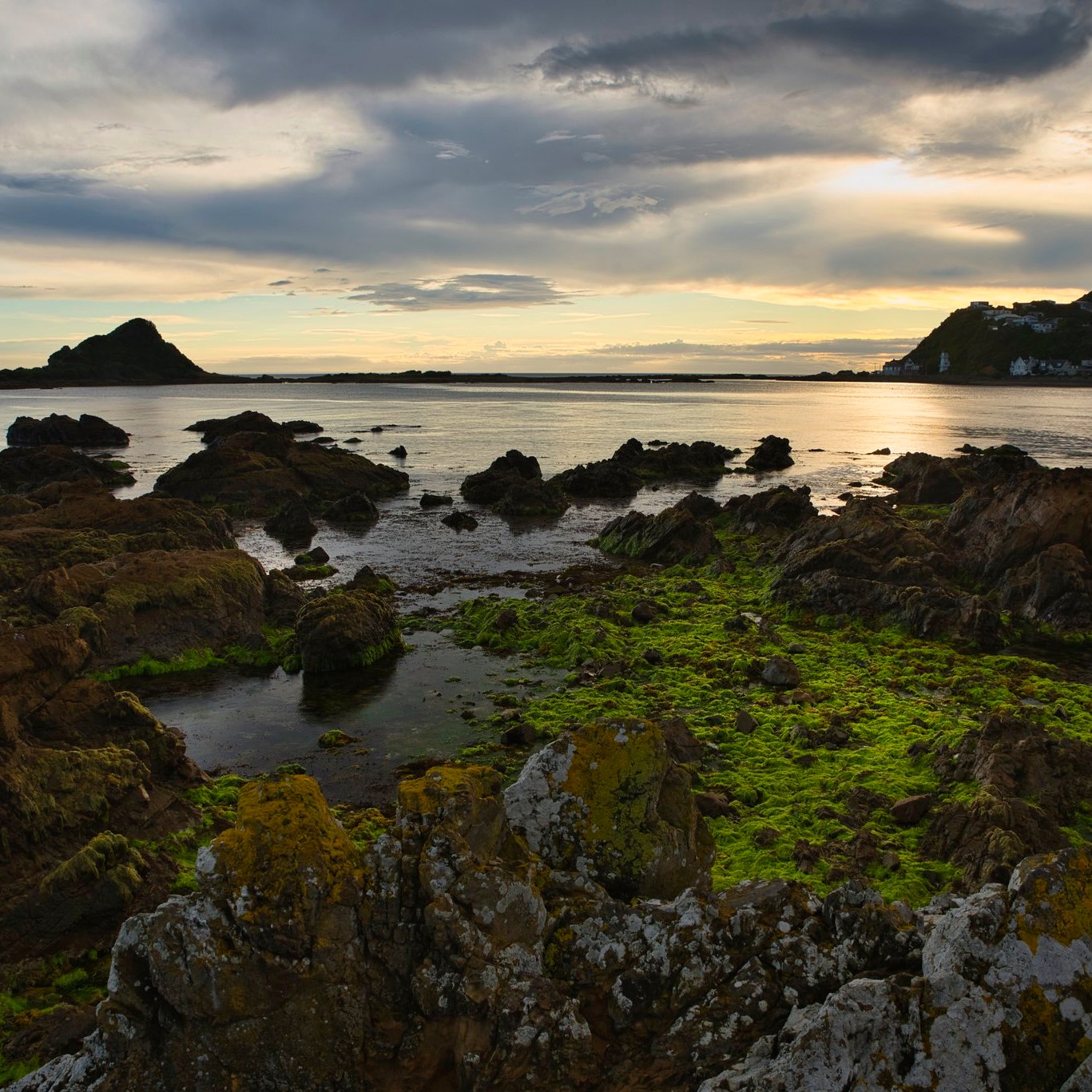 Island Bay coastal rocks by KCphotoscape https://www.flickr.com/photos/kcphotoscape/31862227237/