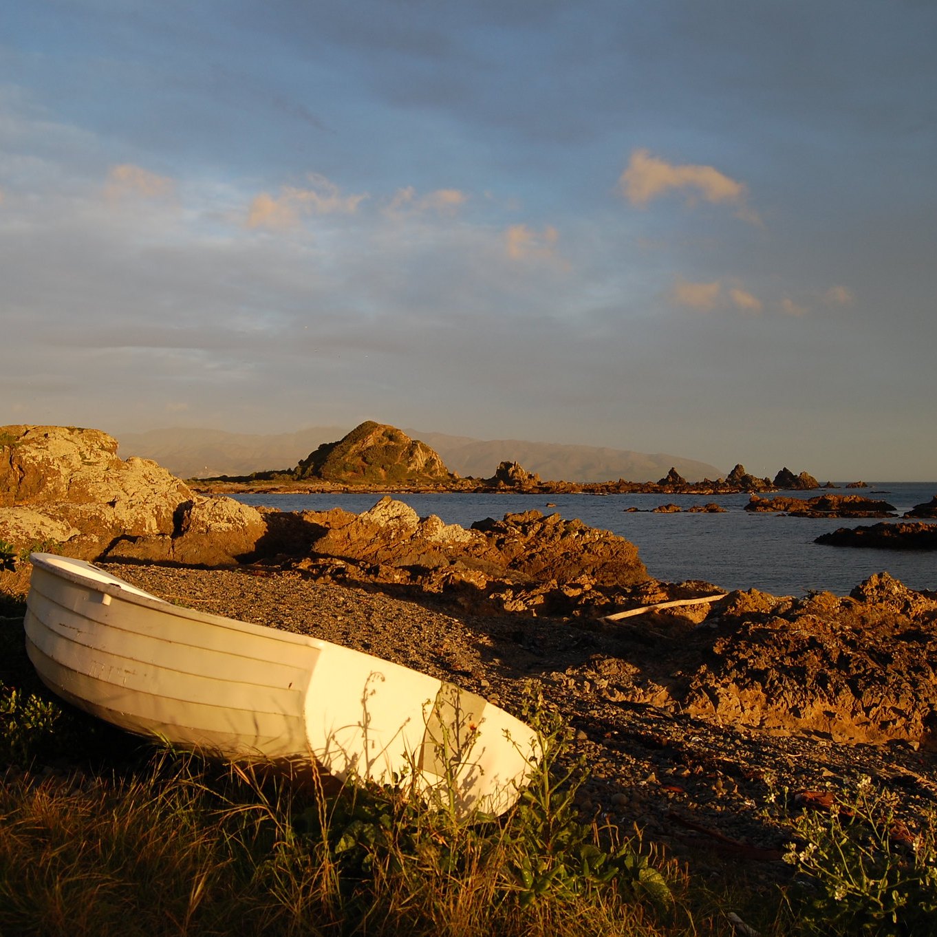 Island Bay Iconography by Tomas https://www.flickr.com/photos/greasylightbulb/4926090400/