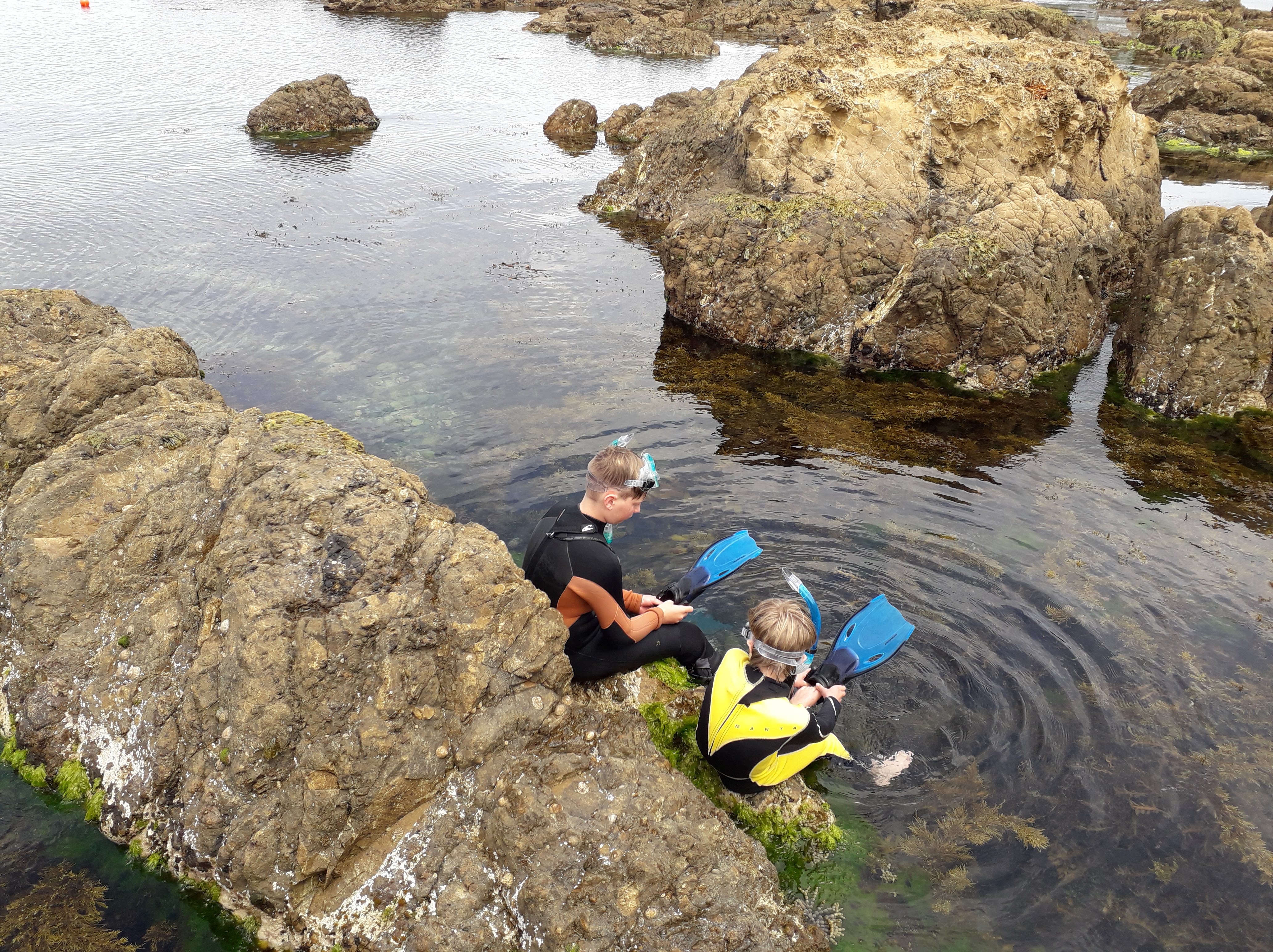 Snorkling by Stephen Day