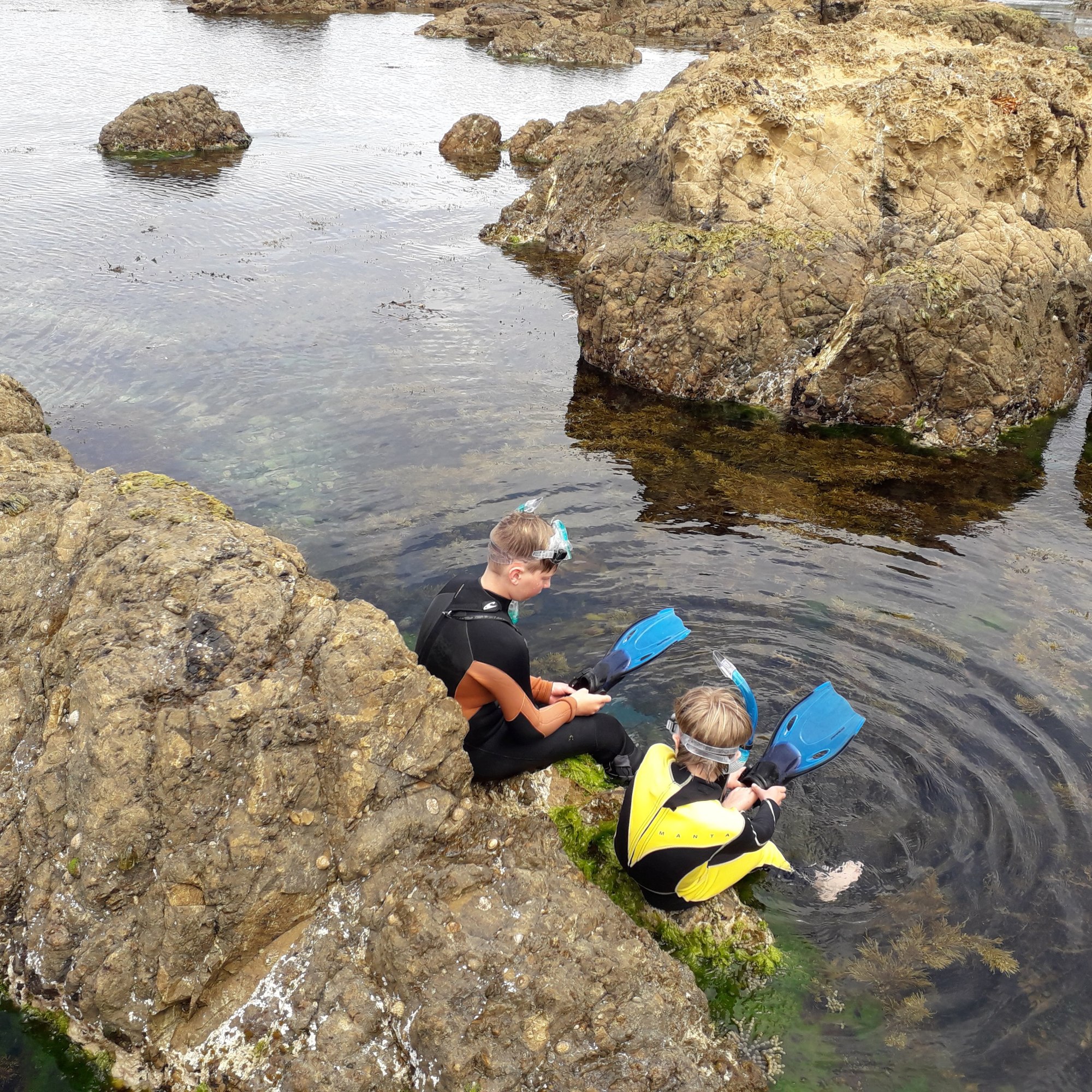 Snorkling by Stephen Day